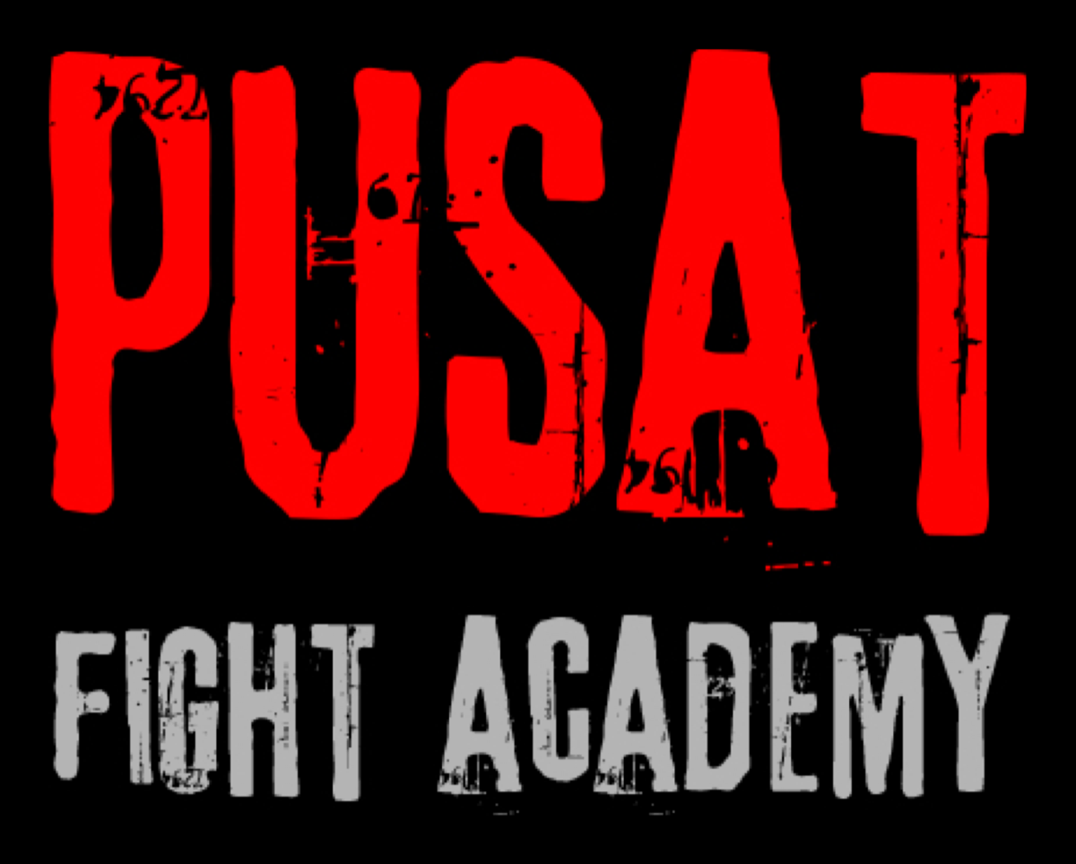 Pusat Fight Academy